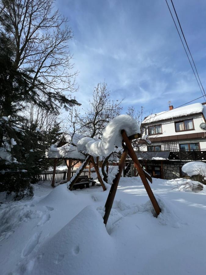 Pokoje U Danusi Czarna Gora Luaran gambar