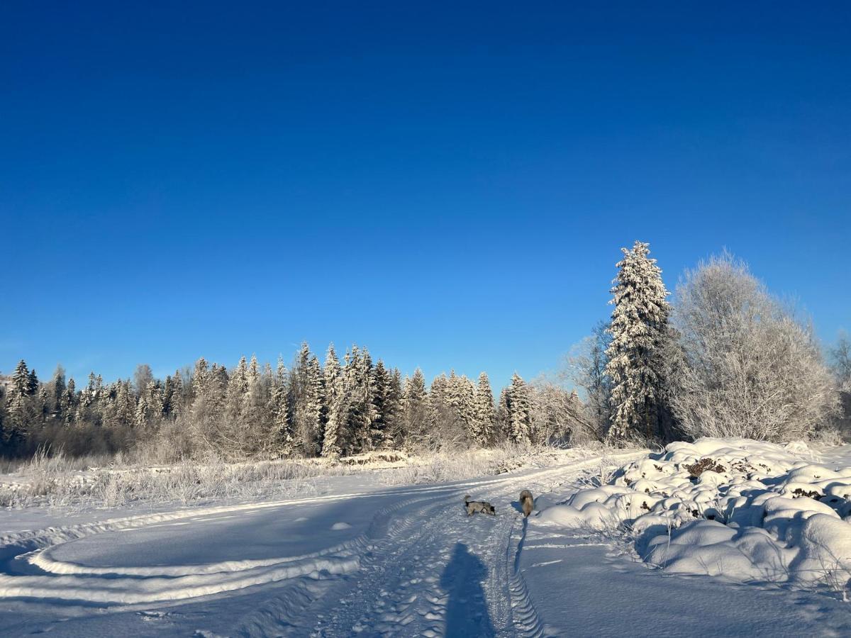 Pokoje U Danusi Czarna Gora Luaran gambar