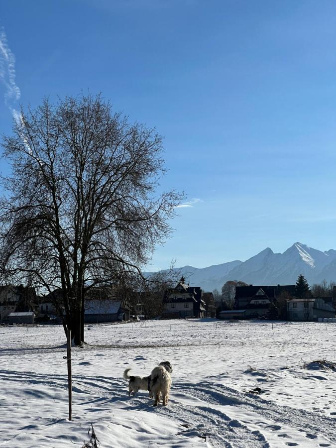 Pokoje U Danusi Czarna Gora Luaran gambar